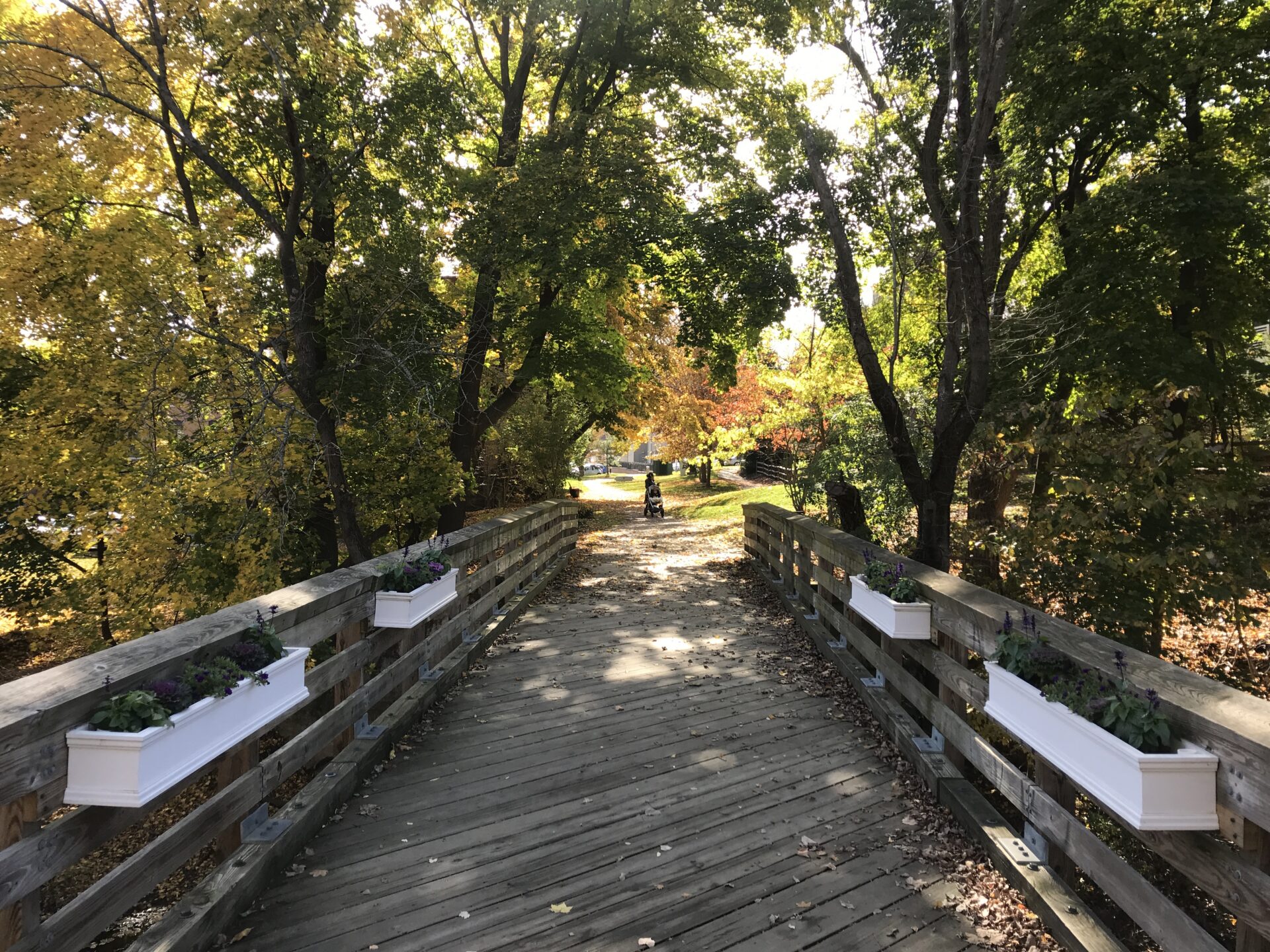A wooden footbridge with flower boxes on the Charles River Reservation path in Wellesley