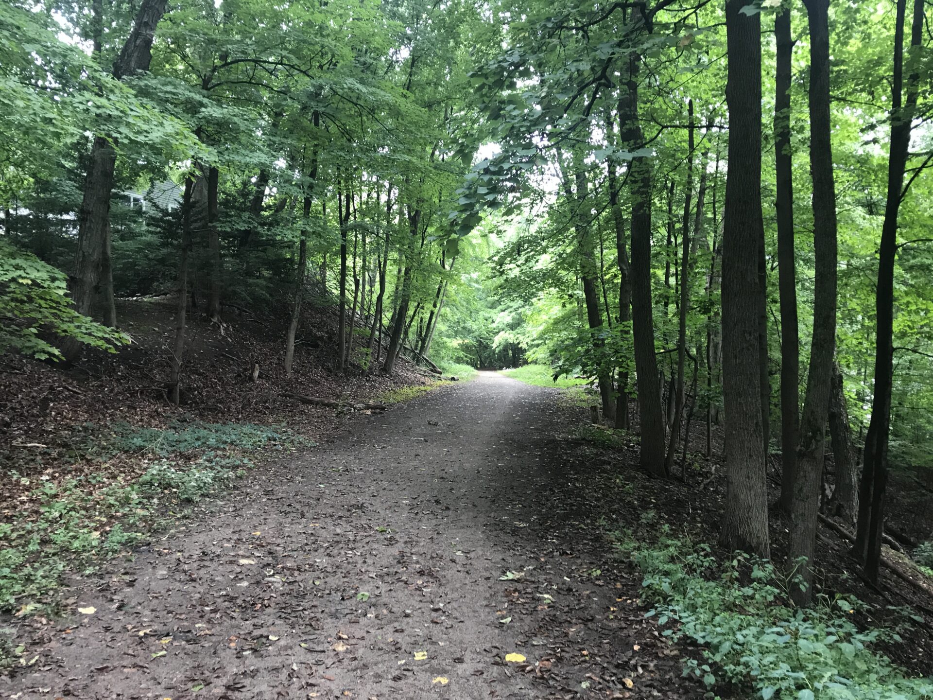 The Crosstown Trail running through woods behind houses in Wellesley, where a lot of our Wellesley bathroom remodeling work happens